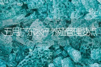 五月广东水产养殖管理要点