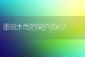 狗狗胰腺炎恢复期，一到晚上就肚子疼因为什么？