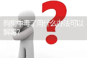 狗狗中毒了用什么办法可以解毒？