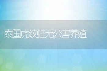 奥尼罗非鱼的养殖及鱼苗培育技术