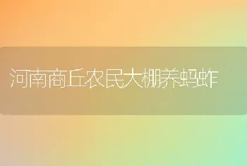 河南商丘农民大棚养蚂蚱