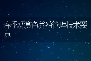 枸杞煲田螺