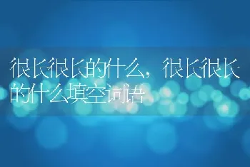 很长很长的什么，很长很长的什么填空词语