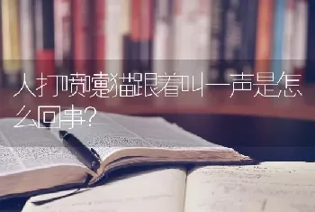 人打喷嚏猫跟着叫一声是怎么回事？