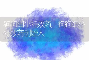 狗狗细小特效药，狗狗细小特效药创始人