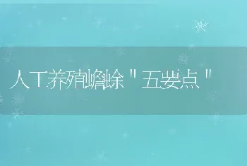 泥鳅的池塘拉网捕捞方法