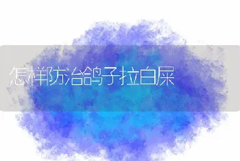 怎样防治鸽子拉白屎