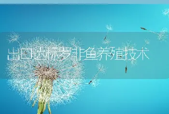 出口达标罗非鱼养殖技术