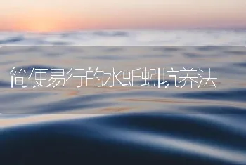 简便易行的水蚯蚓坑养法