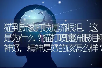 猫到新家打喷嚏流眼泪，这是为什么？猫打喷嚏流眼泪精神好，精神是好的该怎么样？