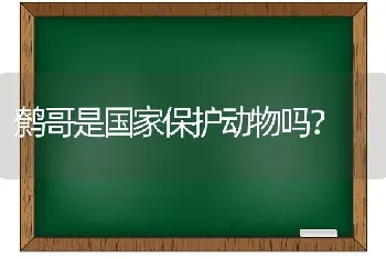 有人知道猫一胎生几只猫吗？