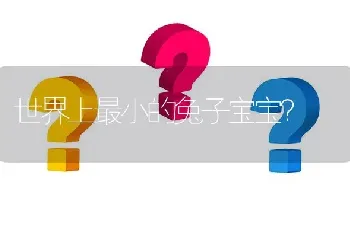 世界上最小的兔子宝宝？