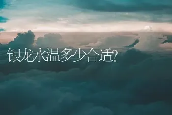 银龙水温多少合适？