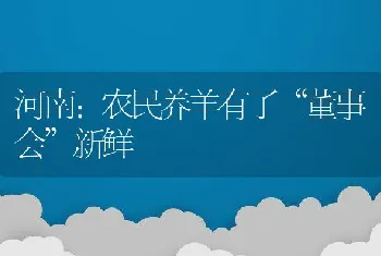 河南：农民养羊有了董事会新鲜