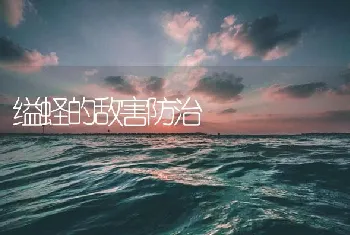 缢蛏的敌害防治