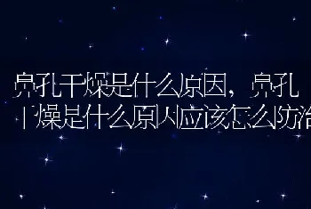 鼻孔干燥是什么原因，鼻孔干燥是什么原因应该怎么防治