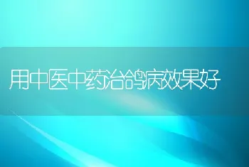 用中医中药治鸽病效果好