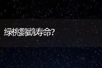 绿桃鹦鹉寿命？