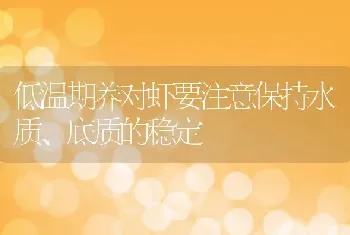 低温期养对虾要注意保持水质、底质的稳定