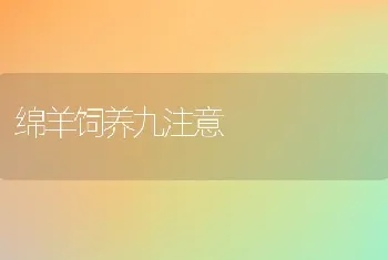 绵羊饲养九注意