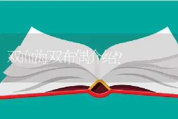 双血海双布偶介绍？