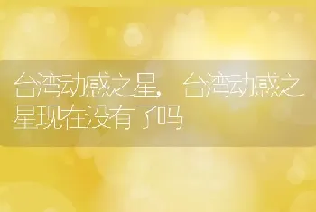 台湾动感之星，台湾动感之星现在没有了吗