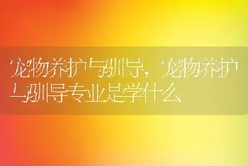 宠物养护与驯导，宠物养护与驯导专业是学什么