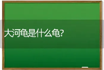 大河龟是什么龟？