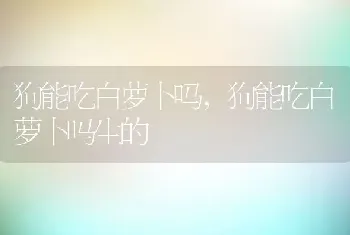 狗能吃白萝卜吗，狗能吃白萝卜吗生的