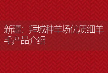 新疆：拜城种羊场优质细羊毛产品介绍