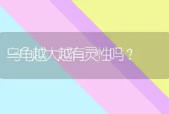 乌龟越大越有灵性吗？