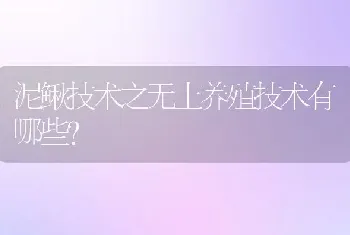 泥鳅技术之无土养殖技术有哪些？