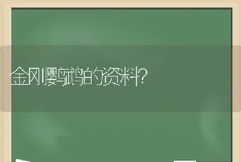 有哪些适合猫咪的名字？