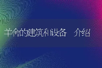 羊舍的建筑和设备介绍