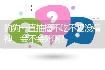 狗狗一直抽搐不吃不喝没精神，会不会死啊？