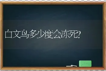 白文鸟多少度会冻死？