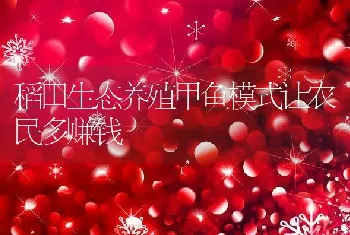 稻田生态养殖甲鱼模式让农民多赚钱