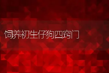 黄鳝养殖之越冬简单管理法