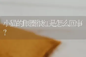 小猫的眼圈很红是怎么回事？