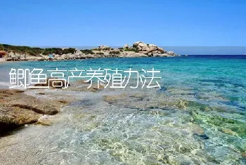 鲫鱼高产养殖办法