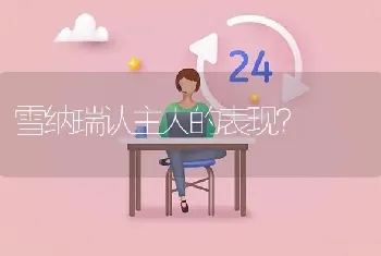 雪纳瑞认主人的表现？