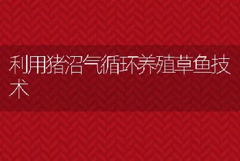 利用猪沼气循环养殖草鱼技术