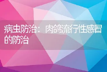 病虫防治：肉鸽流行性感冒的防治