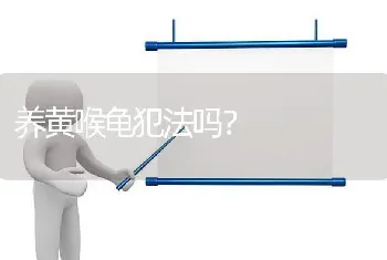 养黄喉龟犯法吗？