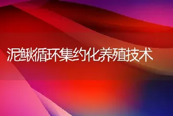 泥鳅循环集约化养殖技术