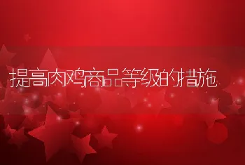 提高肉鸡商品等级的措施