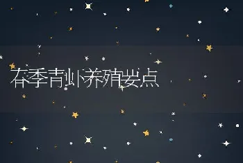 春季青虾养殖要点