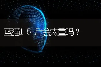 蓝猫15斤会太重吗？