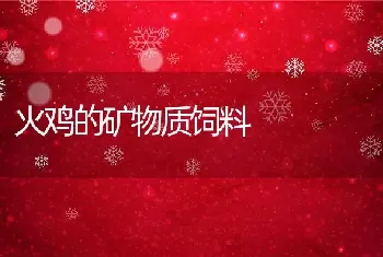 火鸡的矿物质饲料