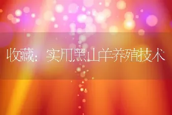 收藏：实用黑山羊养殖技术